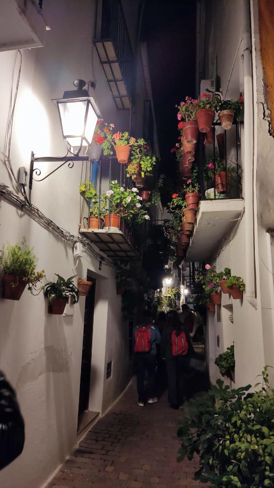 Imagen El CIT Altoaragón participa en el Encuentro Nacional de la Red de Centros de Innovación Territorial y el Programa Campus Rural en Beas de Segura